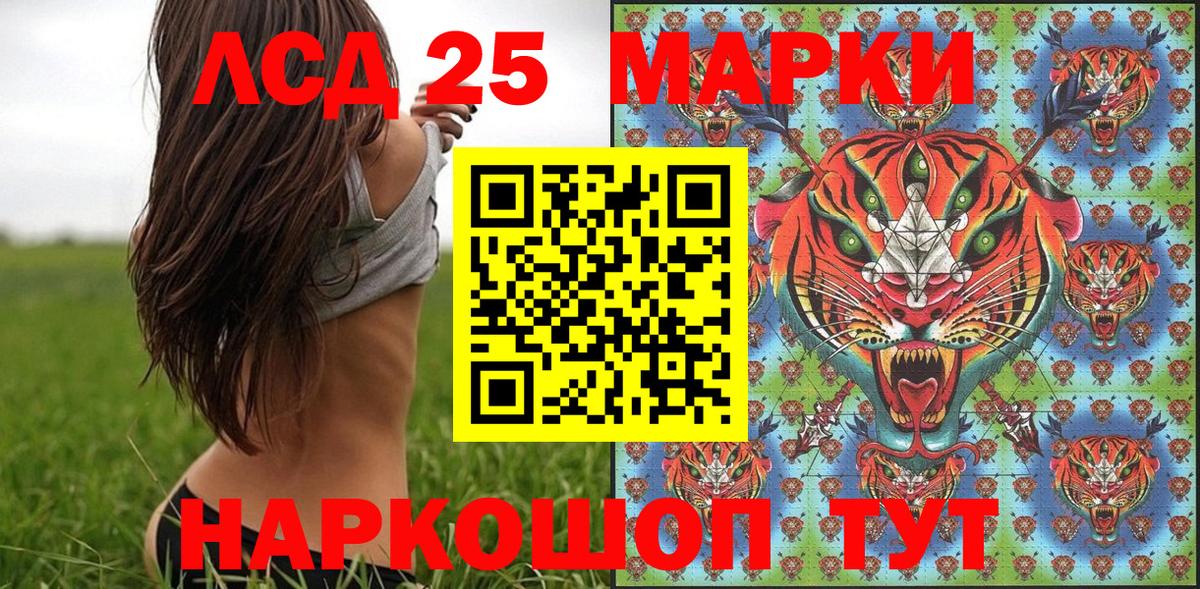 где купить наркоту  Вход с VPN  Тамбов  Марки N-bome 1,5мг 