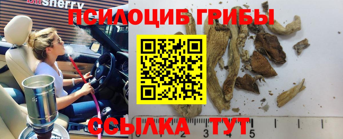 Галлюциногенные грибы Magic Shrooms Тамбов
