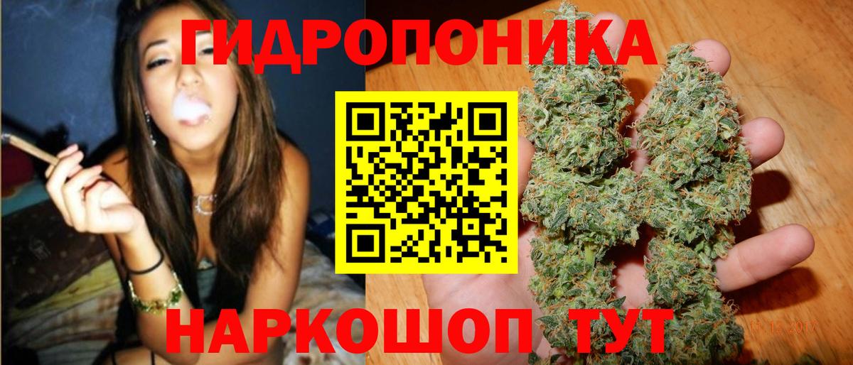 Конопля MAZAR  Шишки марихуана планчик  Каннабис план  Тамбов  Вход с VPN 